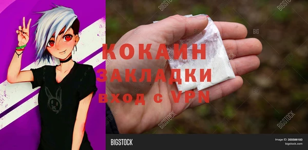 гашик Покров