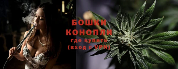 гашик Покров