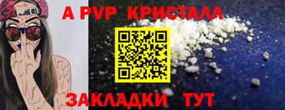 мяу мяу мука Аргун