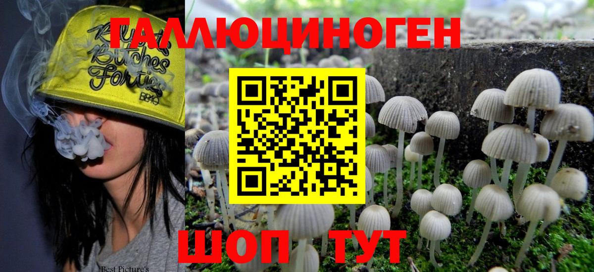 Баксан  сколько стоит  Вход с VPN  Псилоцибиновые грибы GOLDEN TEACHER 