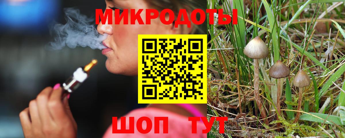 Галлюциногенные грибы Psilocybe  Баксан 