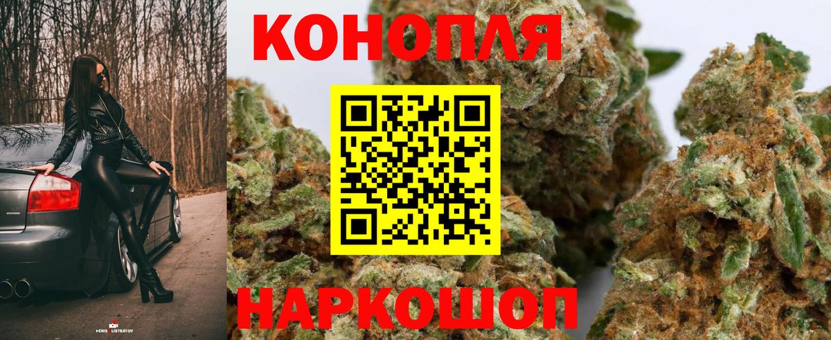 Каннабис OG Kush Баксан